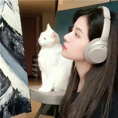 万花迎春